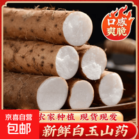 京东 白玉山药新鲜现挖脆山药软糯香甜整箱新鲜蔬菜即食蒸煮早餐 白玉山药 1斤