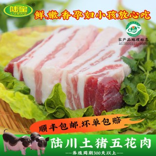 移动端：陆宝 广西陆川土猪五花肉 500g