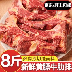 益锦鲜 中国大陆 黄膘牛肋排 2斤