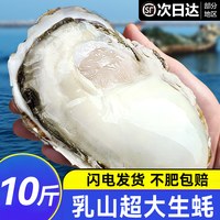 移动端:鲜驰 生蚝乳山特大鲜活海蛎子刺身牡蛎生鲜官方旗舰店商用批发整箱10斤