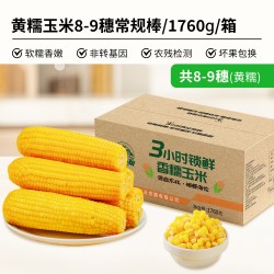 刘老杆 东北黑龙江黄糯玉米新鲜软糯粘黏新鲜真空装代餐玉米棒礼盒