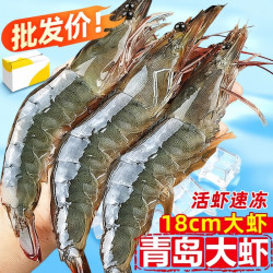 多小贝 鲜活冷冻 白对虾