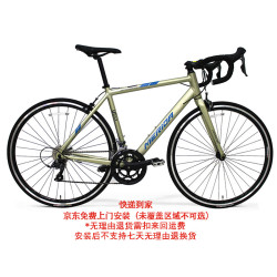 美利达 幻影2 16速 公路自行车  快递到家 美银金 700*50CM