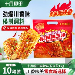 十月稻田 烧烤味玉米段1kg黄糯玉米咸香东北苞谷酱汁粘糯零食
