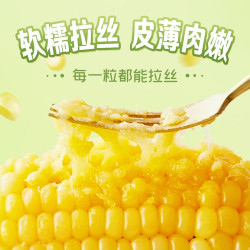 一支鲜 东北黄糯玉米新鲜甜糯玉米棒香甜玉米大棒代餐低脂整支真空10支