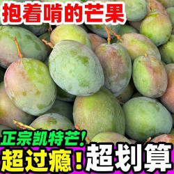 四川攀枝花凯特芒果当季新鲜水果现摘超甜彩虹芒大青吉禄芒果整箱