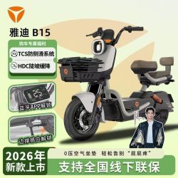 雅迪 新国标智能APP碟刹轻便电动自行车48V21A