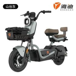 雅迪 新国标智能APP碟刹轻便电动自行车