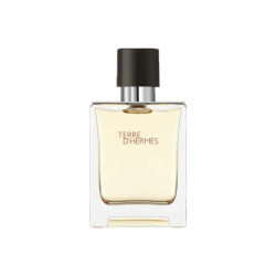 HERMÈS Hermes爱马仕大地男士馥郁香根草香水 EDP浓香水100ml正品