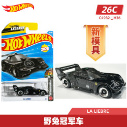 Hot Wheels 26C-31 野兔冠军车 合金小车