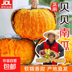 京喜 正宗山东贝贝南瓜 4.5斤净重