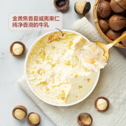 哈根达斯 夏威夷果仁冰淇淋 81g