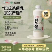 西湖牌 京东联名鲜牛奶950ml低温鲜奶高钙4.0蛋白儿童巴氏杀菌乳源头直发 4.0蛋白鲜奶950ml