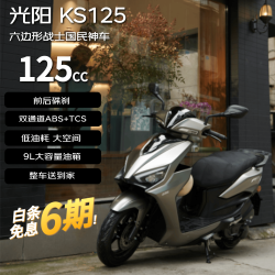 光阳摩托 光阳蛋业 光阳2025款KS125卓越版踏板 &燃油摩托车通勤 &abs外卖 &骑手代步大空间银棕