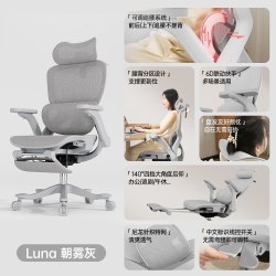 Everseat Luna 人体工学电脑椅 朝雾灰