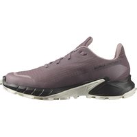 SALOMON 女性 登山鞋 Alphacross 5 Gore-tex for Women 防水 MoonscapeBlackWhite 尺码6