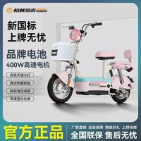 格林豪泰 小豆芽 48V20Ah铅酸电池 新国标电动自行车