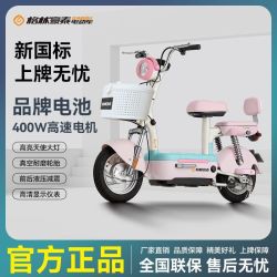 格林豪泰 小豆芽 新国标电动自行车 48V20A 铅酸电瓶