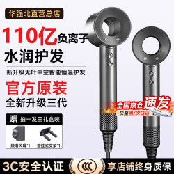 戴森德乐 吹风机 银灰色 110亿水润负离子 智能恒温护发