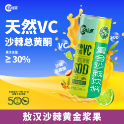 多维爽 沙漠之花沙棘天然VC复合果汁饮料 240ml*12罐 顺丰包邮