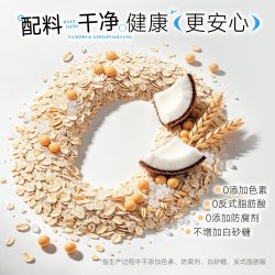 南国 海盐咸味澳洲燕麦片