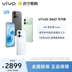 vivo S60 元气版 仲夏夜 8GB+256GB 全网通5G新品手机