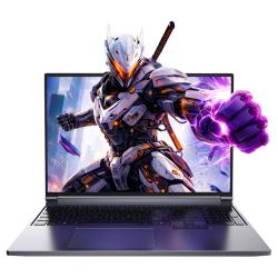 机械革命 极光X 2026 i7-14650HX RTX5060 16G 512G 16英寸游戏本