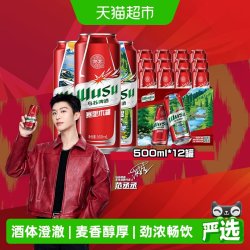乌苏啤酒 红乌苏啤酒 500ml*6听