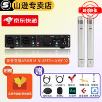 SAMSON 山逊 C02 笔型电容话筒 大合唱麦克风立体声乐器拾音钢乐器话筒 C02+MINIUSE2（黑色）