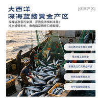 BOWO 西班牙蓝鳍金枪鱼整鱼 600-1000斤