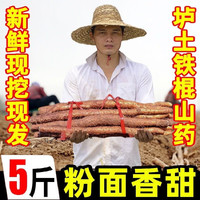 黄六爷 垆土铁棍山药 净重3斤 根茎类蔬菜