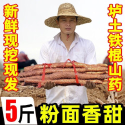 黄六爷 垆土铁棍山药 净重3斤 根茎类蔬菜