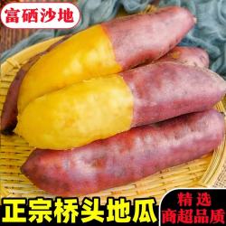 黄六爷 海南澄迈桥头地瓜 富硒沙地 黄心圆果 5斤 小果