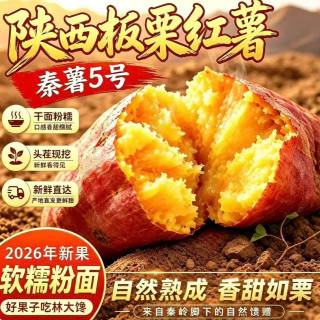 林大 秦薯5号板栗红薯 粉糯香甜 5斤装 根茎类蔬菜