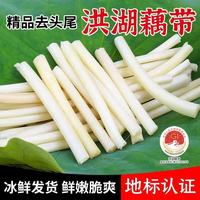 洪湖农家 洪湖藕带 生鲜蔬菜 藕管 火锅食材 湖北特产  买菜 新鲜水生蔬菜  新鲜藕带3斤（藕管）