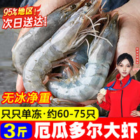 百鲜洽 盐冻海捕青岛大虾鲜活冷冻基围虾冷冻白虾青虾对虾海虾海鲜水产 11-13cm 大虾 3斤(净重)  整箱