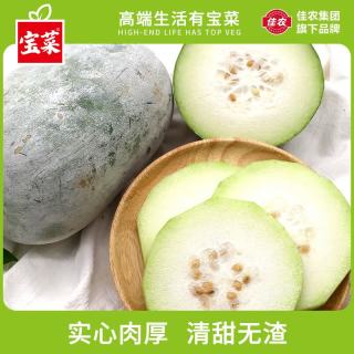 宝菜 挂霜青皮迷你冬瓜 净重4.5斤 约2-3个