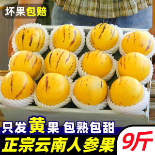 黄六爷 人参果云南石10圆果当季新鲜孕妇水果黄肉香甜人生果整箱大果包邮 5斤精选中果清甜爆汁 净重4.5斤