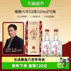 水井坊 浓香白酒礼盒 礼袋  浓香型 52%Vol. 包装 520ml
