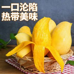 滇老头 正宗云南鹰嘴芒黄皮芒果套袋甜心新鲜热带水果套袋3-8斤整箱包邮