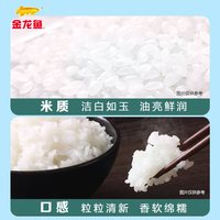 金龙鱼 软香稻5KG*4袋整箱装 苏北大米