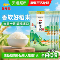 金龙鱼 软香稻5KG*4袋整箱装 苏北大米