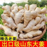 京喜自营-专用品牌 山东潍坊大片老姜新鲜现挖生姜 水洗 风干无土 黄姜烘干大姜3两起 山东大片姜带箱2斤