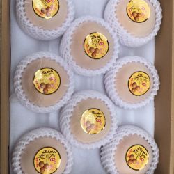 特大果  山东 秋月梨 2.5斤装  单果270克+