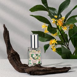 芳慕 线下同款芳慕香水女士栀子花开纯白牛奶邂逅葡萄柚海神黑加仑正品