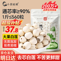 小茵姑娘 湘莲500g 湘潭去芯磨皮通芯白莲子干货 银耳百合莲子四神汤食材 去芯莲子500g
