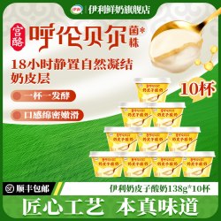 伊利 宫酪奶皮子酸奶
