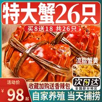 蟹鸿祚 江苏 淮安 大闸蟹 16只 母蟹 890g