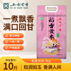 五米常香 稻香贡米 东北大米 5kg