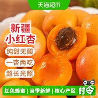 移动端、88VIP:新疆阿克苏小红杏 礼盒装 当季整箱 吊干杏新鲜水果杏子 纯甜无酸